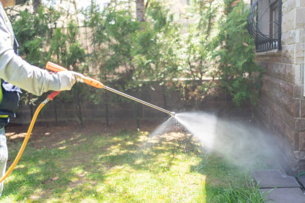 Best Organic or Eco-Friendly Pest Control  in Giddings, TX